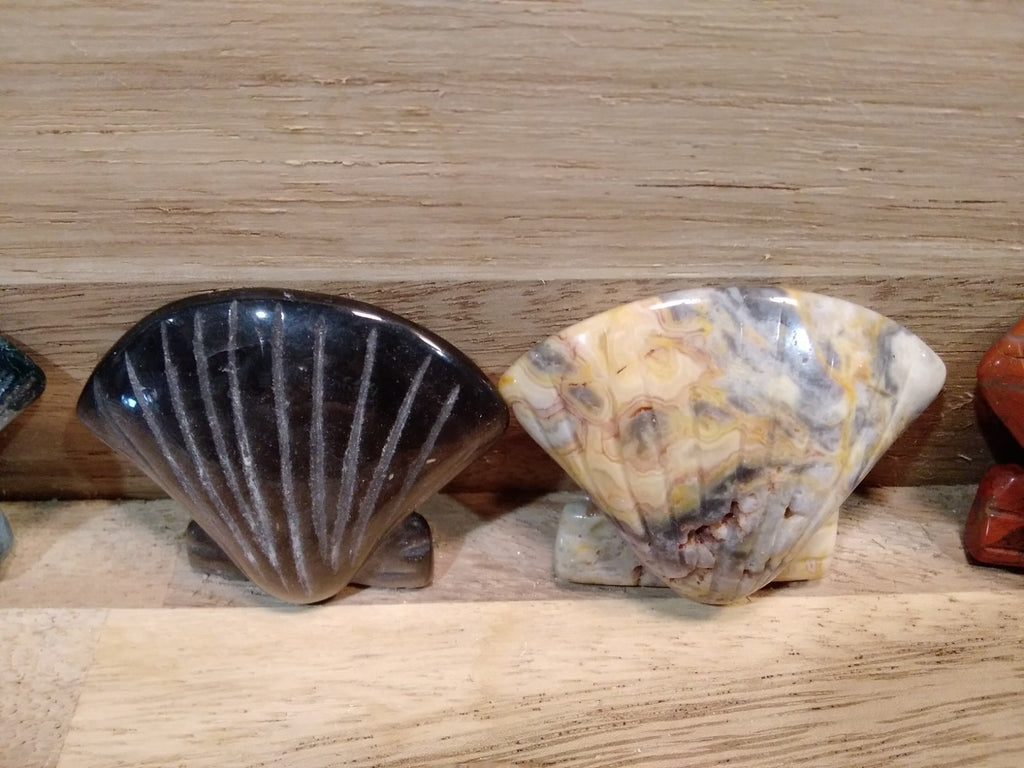 2" Natural Carved Sea Shell ~ Crystal Reiki Healing ~ 1pc ~ Intuitively Chosen