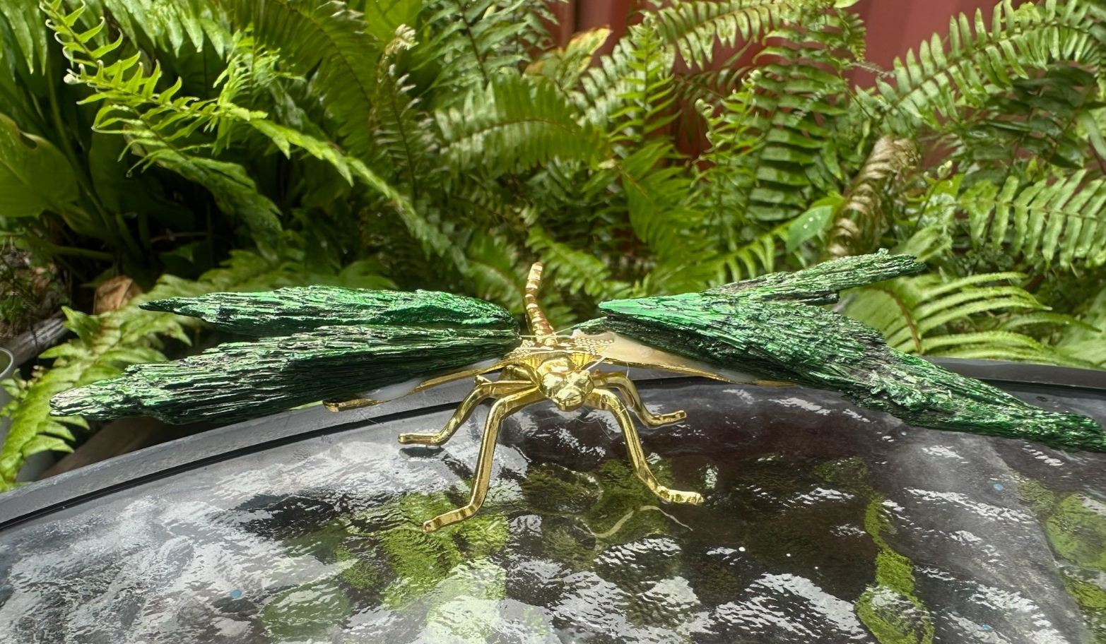 Green~Aura Kyanite Dragonfly Healing Crystal Carving Rainbow Tourmaline Ornament