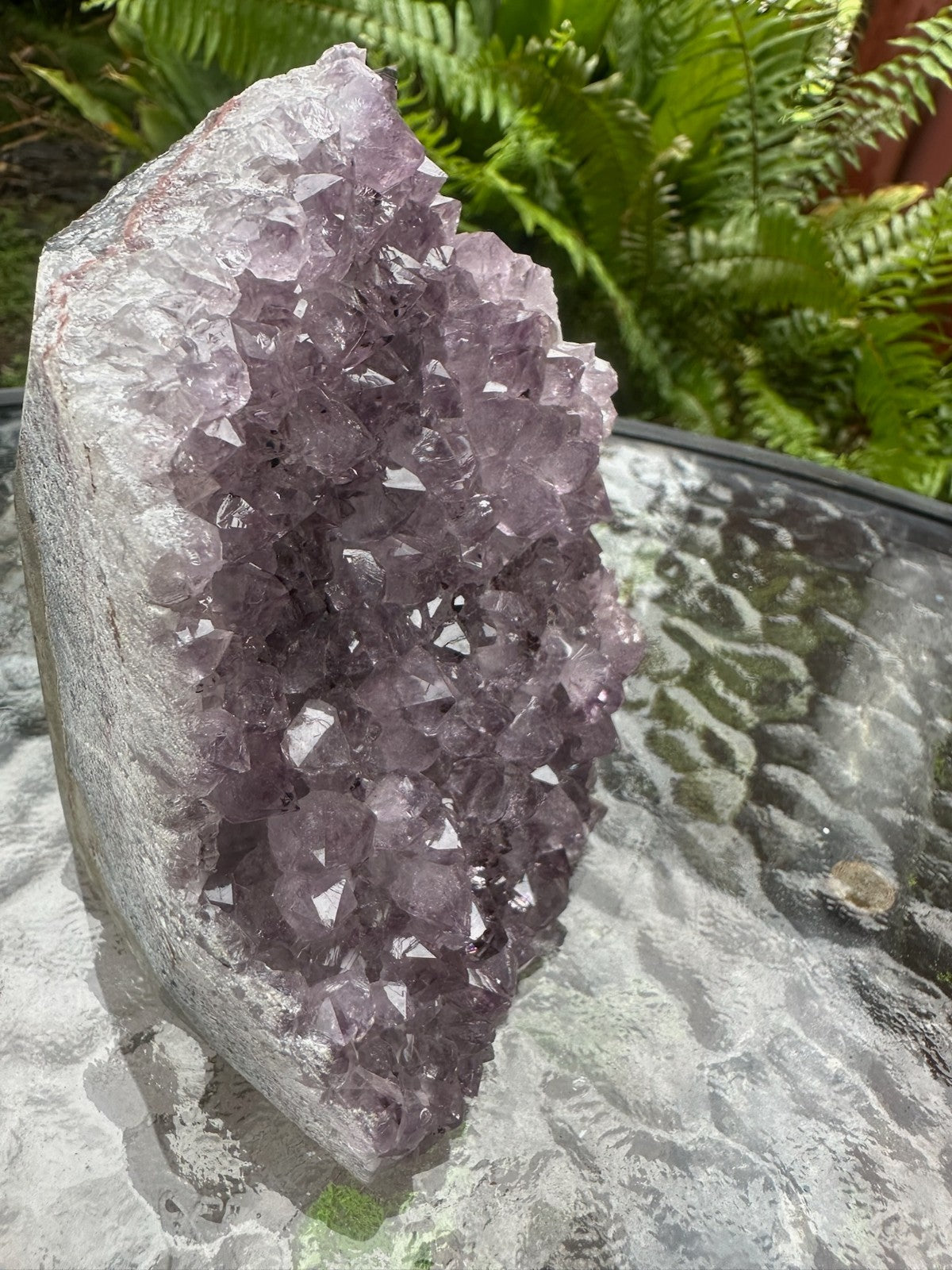 Natural Amethyst Crystal Cluster Druzy Specimen Healing Stone Display