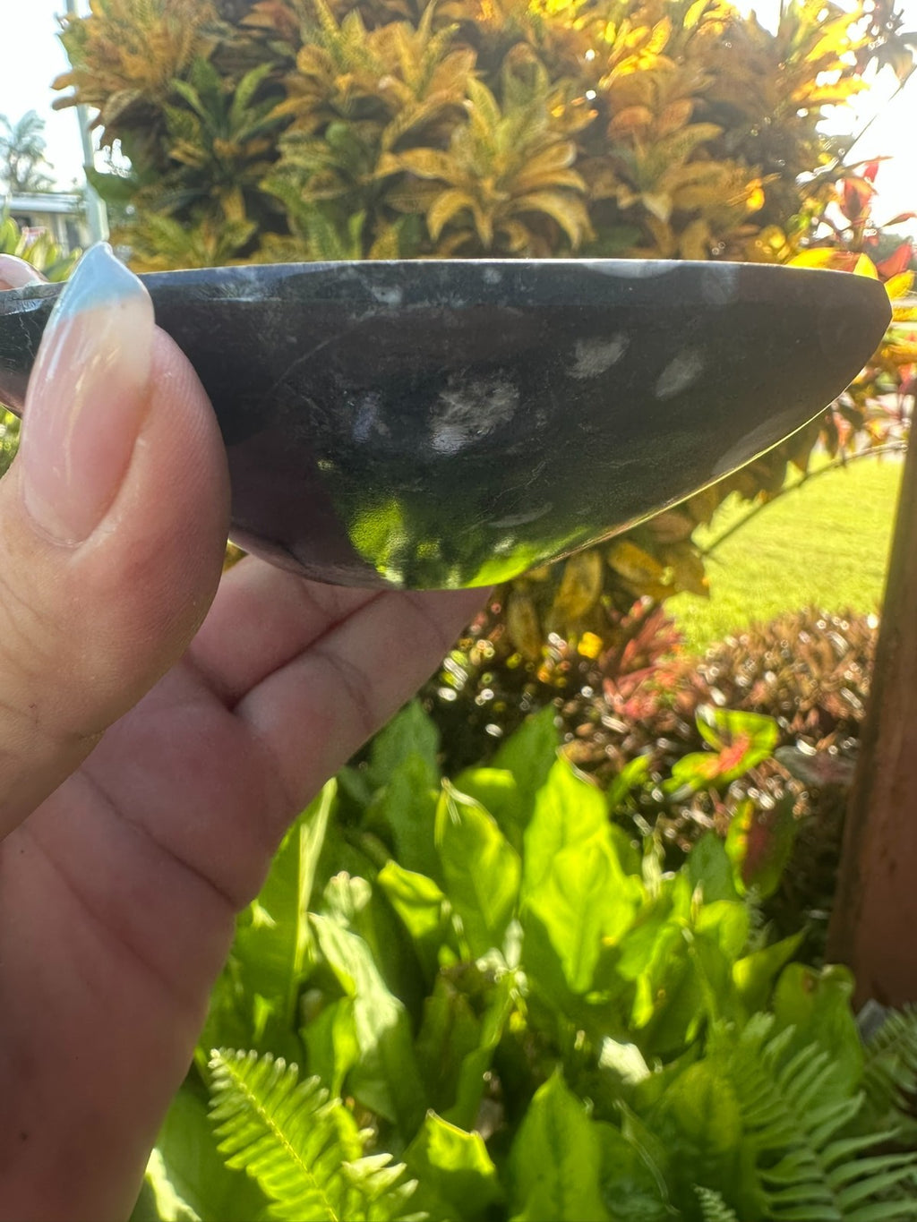 Orthoceras Fossil Stone Bowl ~ Natural Crystal Dish ~ Ancient Fossil Decor (B)
