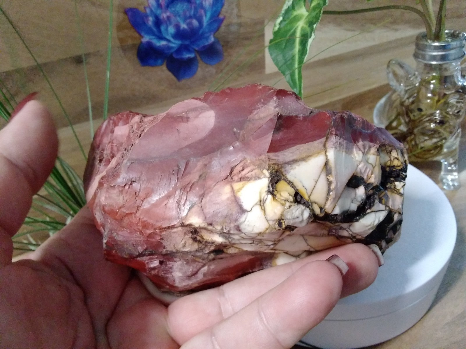 Natural Brecciated Mookaite Jasper Slab ~ Pilbara WA ~ 452 grams ~ 13 x 8 x 6cm
