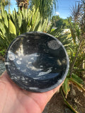 Orthoceras Fossil Stone Bowl ~ Natural Crystal Dish ~ Ancient Fossil Decor (C)