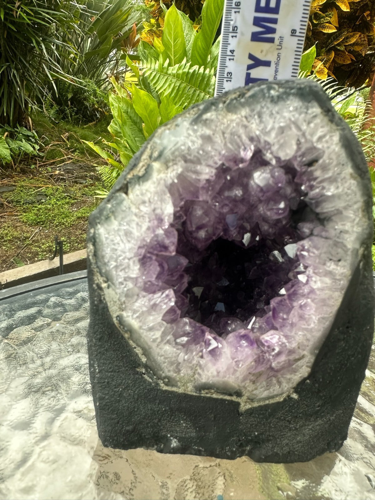 Large Amethyst Geode Crystal Cave ~ Natural Druzy Healing Stone ~ 1.9 kg