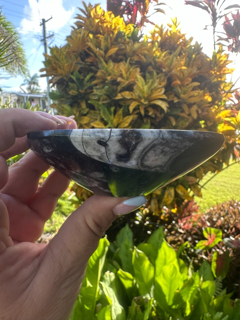 Orthoceras Fossil Stone Bowl ~ Natural Crystal Dish ~ Ancient Fossil Decor (B)