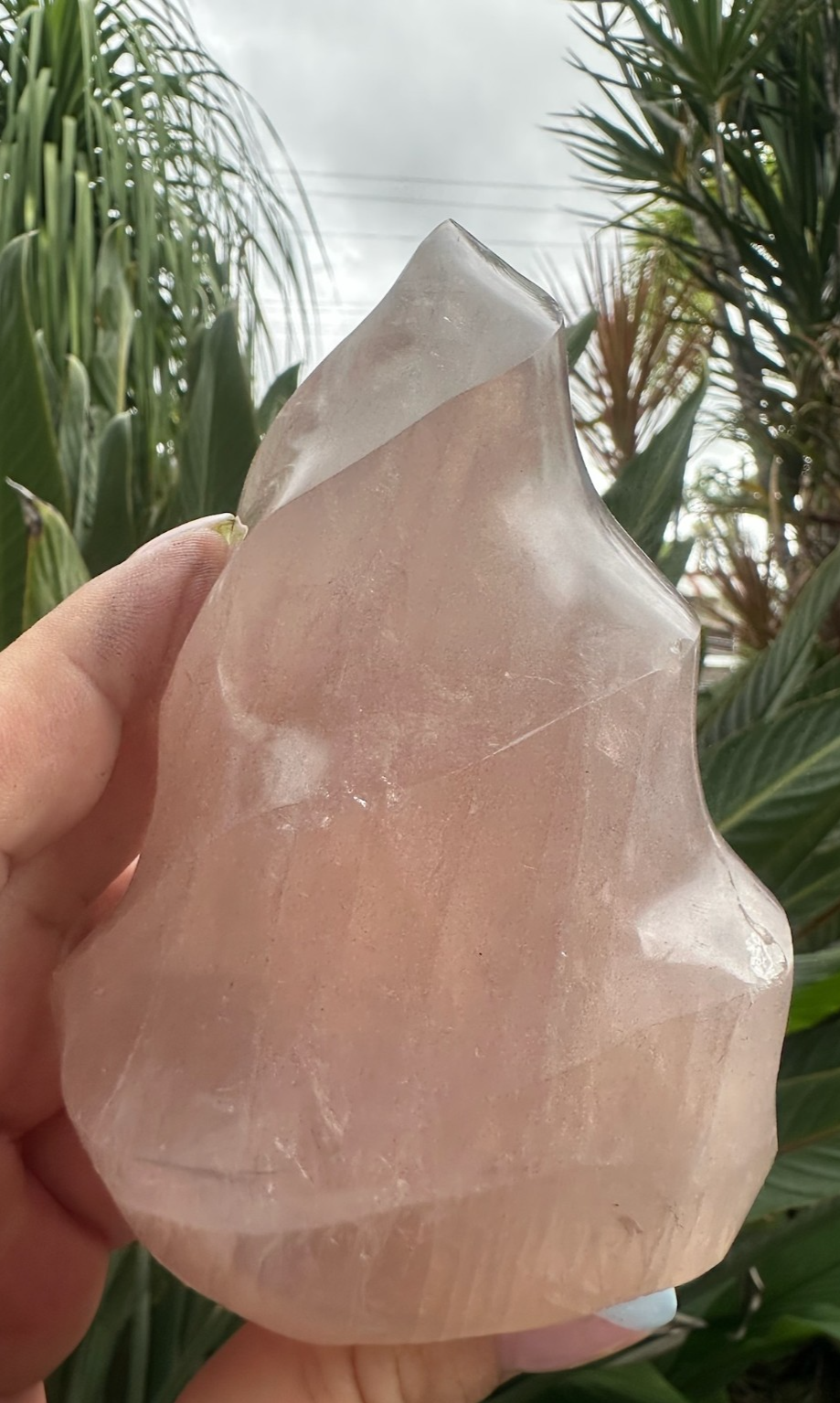 Blue Rose Quartz Flame ~ Crystal Natural Polished Healing Stone Display ~ G