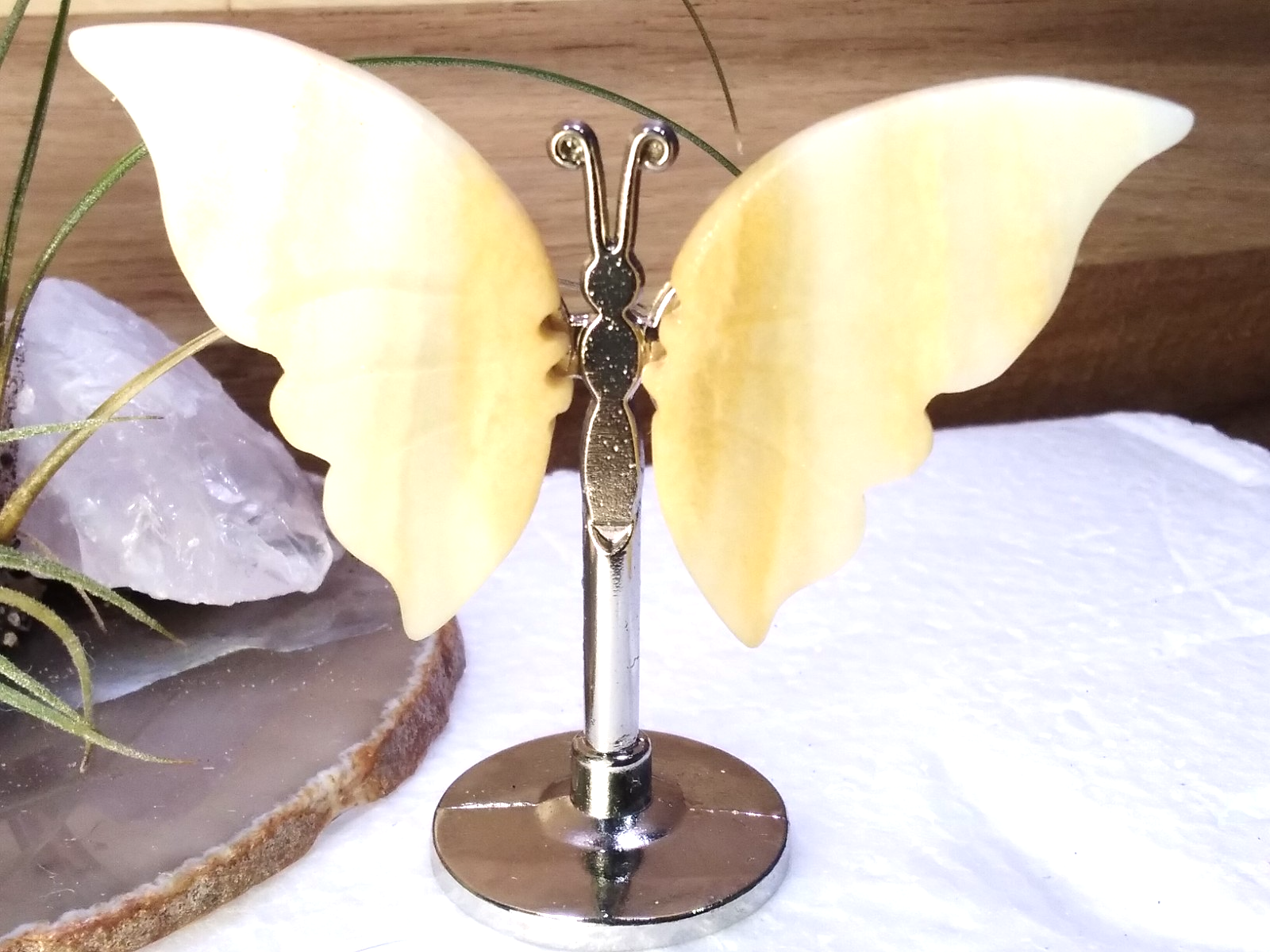 Yellow Calcite Butterfly – Crystal Wing Display on Stand Strength • Confidence