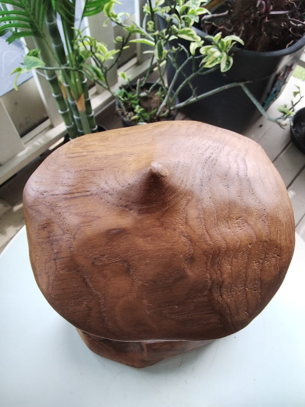 Wood Mushroom Toadstool ~ Garden Sculpture Wooden Hard Carved ~ 20 x 27cm ~ICWS1