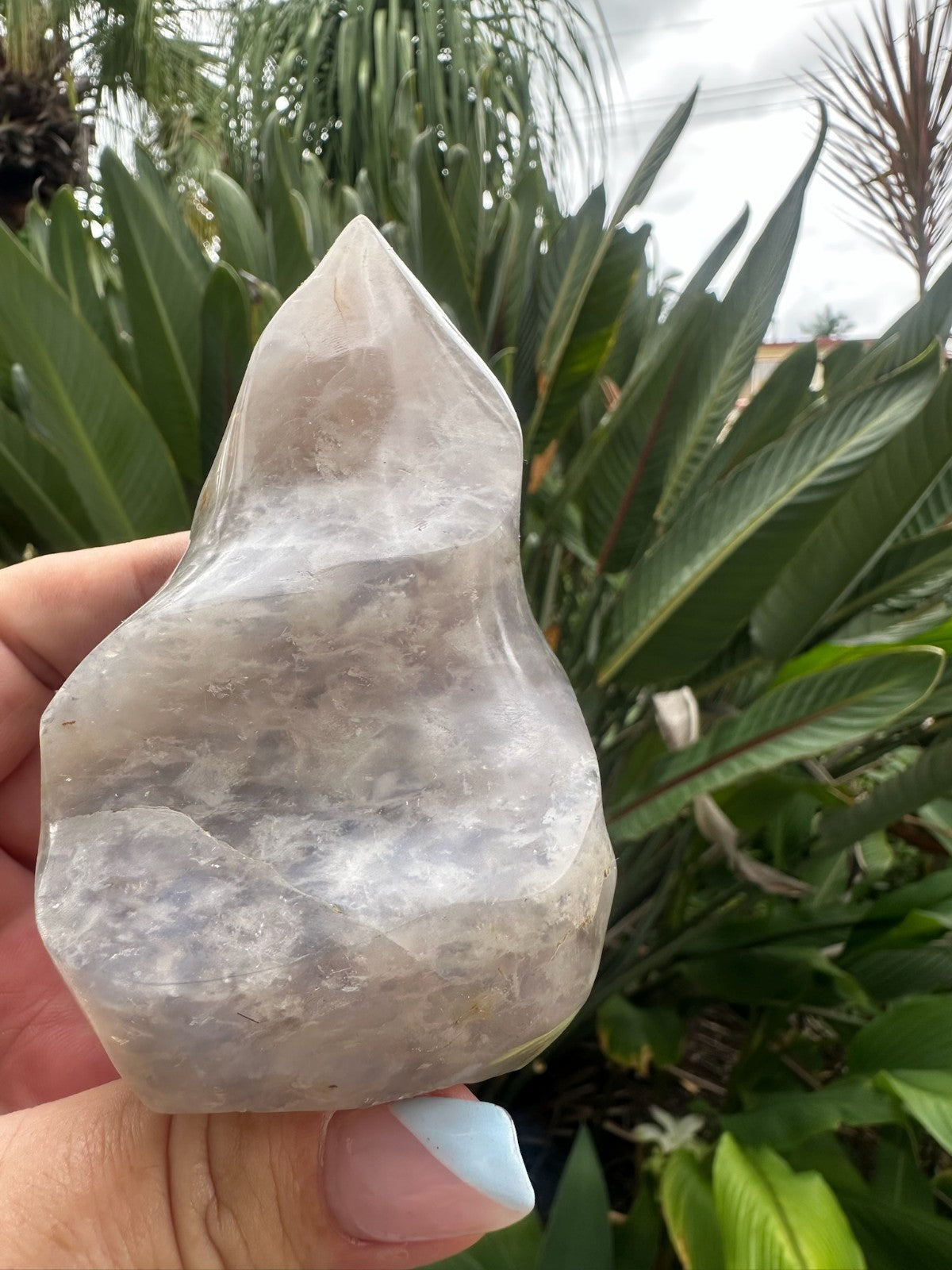 Blue Rose Quartz Flame ~ Crystal Natural Polished Healing Stone Display ~ A