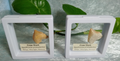 Squalicorax  "Crow Shark Tooth" 70 MYO, Morroco ~ Display 7cm (B white)