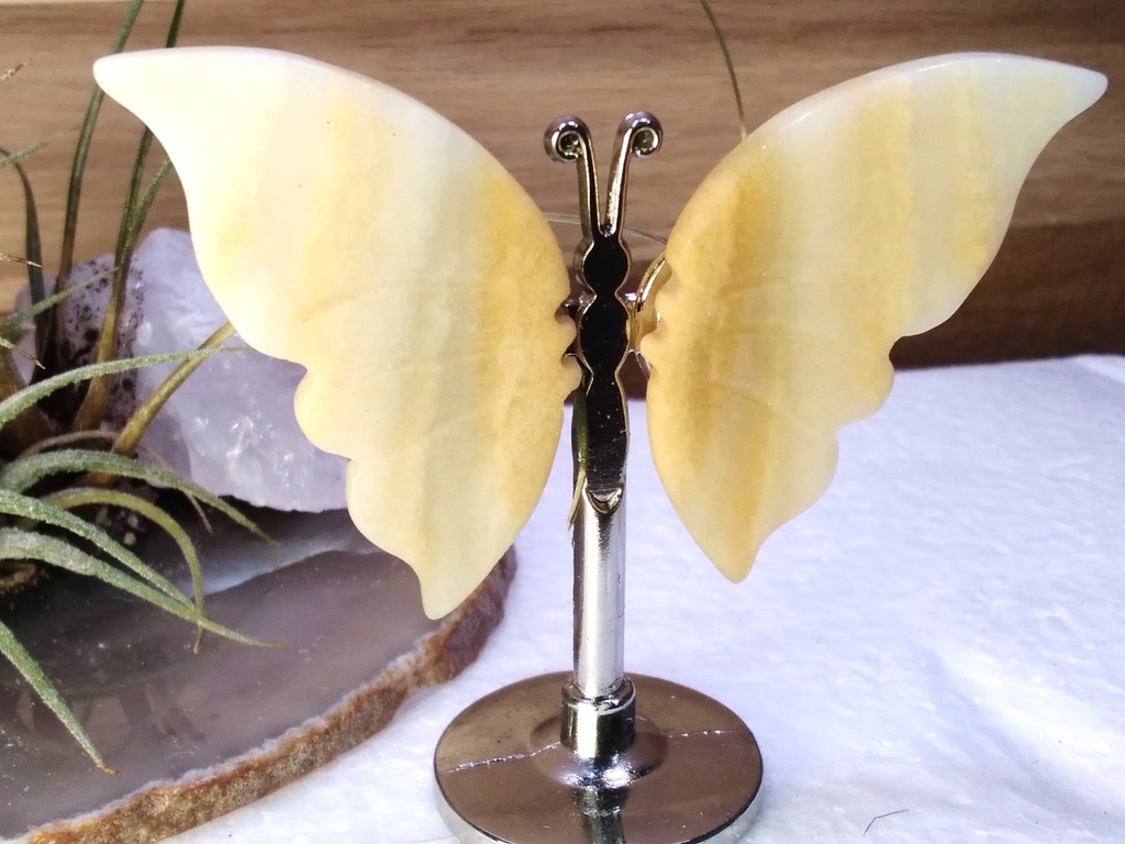 Yellow Calcite Butterfly – Crystal Wing Display on Stand Strength • Confidence