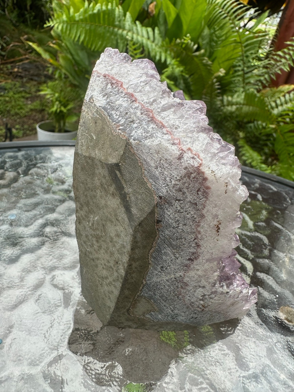 Natural Amethyst Crystal Cluster Druzy Specimen Healing Stone Display