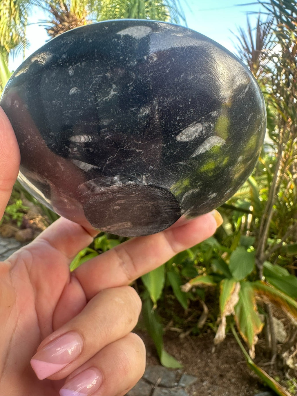 Orthoceras Fossil Stone Bowl ~ Natural Crystal Dish ~ Ancient Fossil Decor (C)