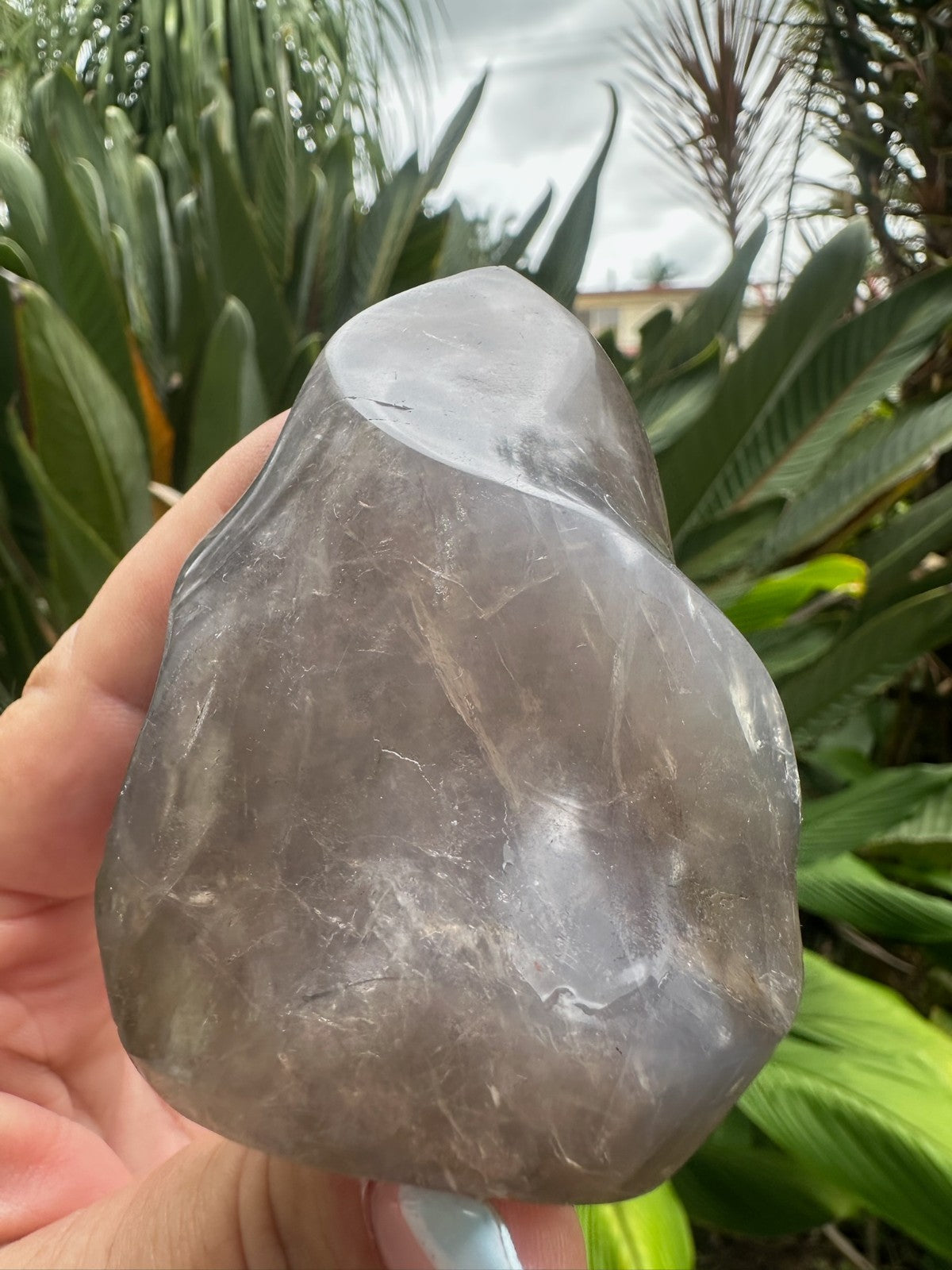 Blue Rose Quartz Flame ~ Crystal Natural Polished Healing Stone Display ~ B