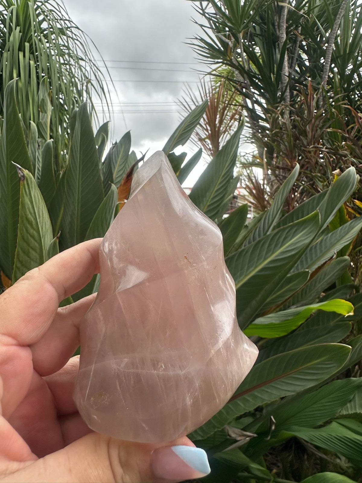 Blue Rose Quartz Flame ~ Crystal Natural Polished Healing Stone Display ~ G