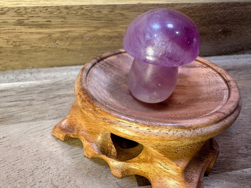 Fluorite Mushroom Carvings – Mini Crystal 25-35 gms Clarity • Focus • Protection