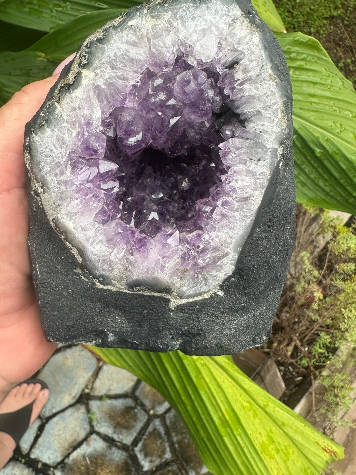 Large Amethyst Geode Crystal Cave ~ Natural Druzy Healing Stone ~ 1.9 kg