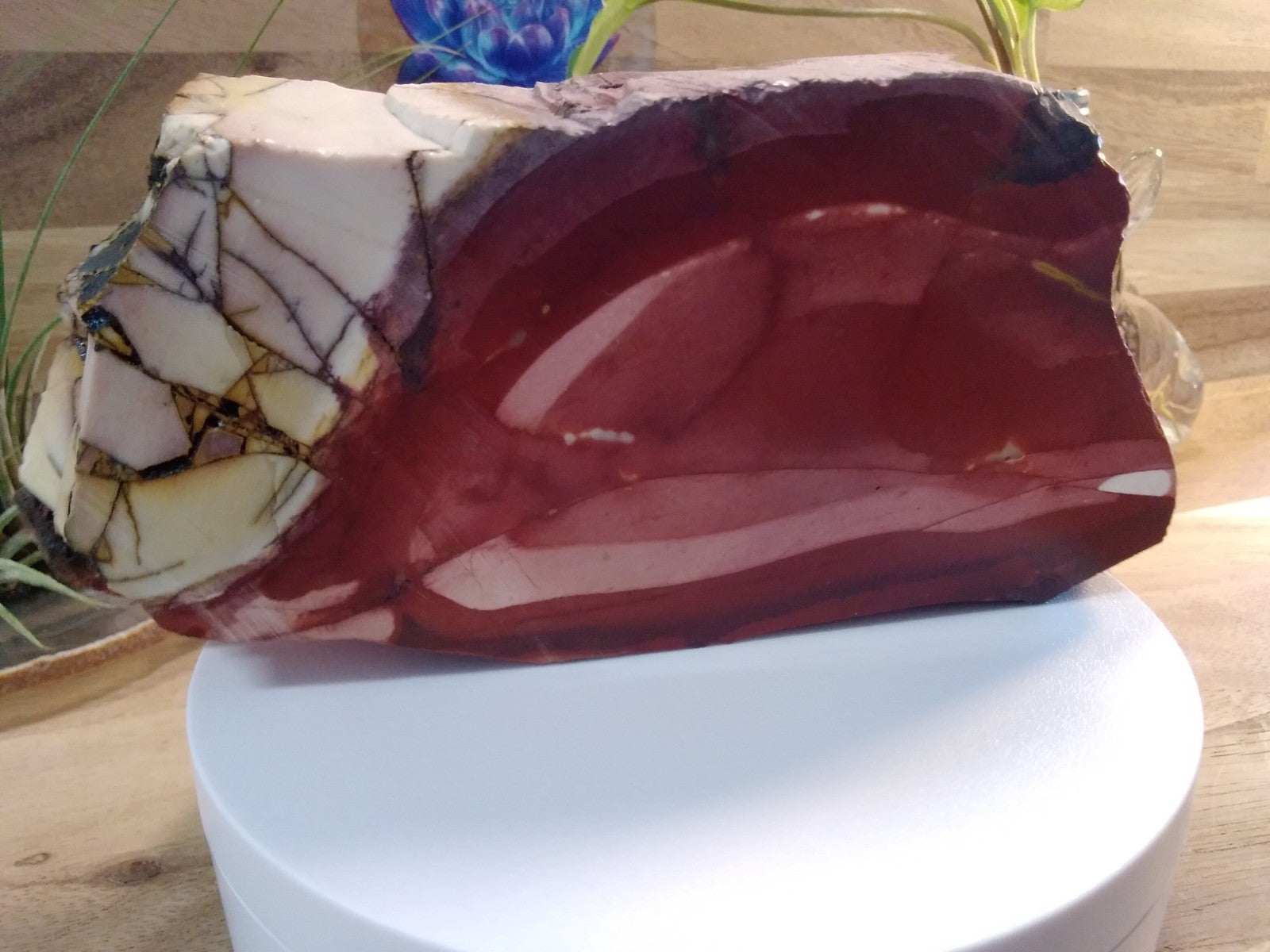 Natural Brecciated Mookaite Jasper Slab ~ Pilbara WA ~ 555 grams ~ 17cm