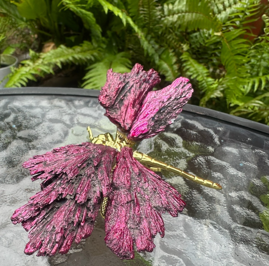 Pink ~Aura Kyanite Dragonfly Healing Crystal Carving Rainbow Tourmaline Ornament