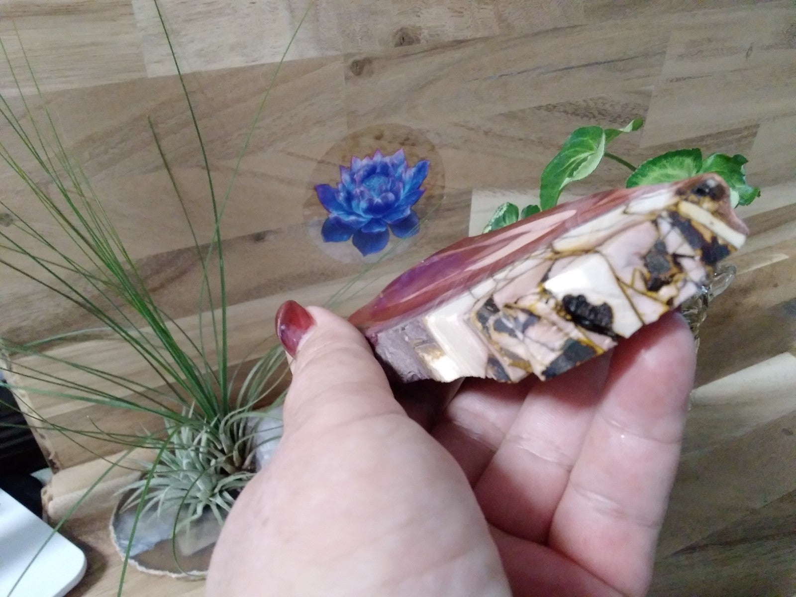 Natural Brecciated Mookaite Jasper Slab ~ Pilbara WA ~ 278 grams ~ 15 cm