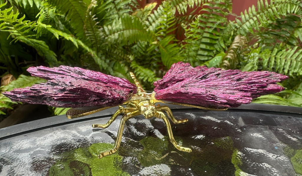 Pink ~Aura Kyanite Dragonfly Healing Crystal Carving Rainbow Tourmaline Ornament