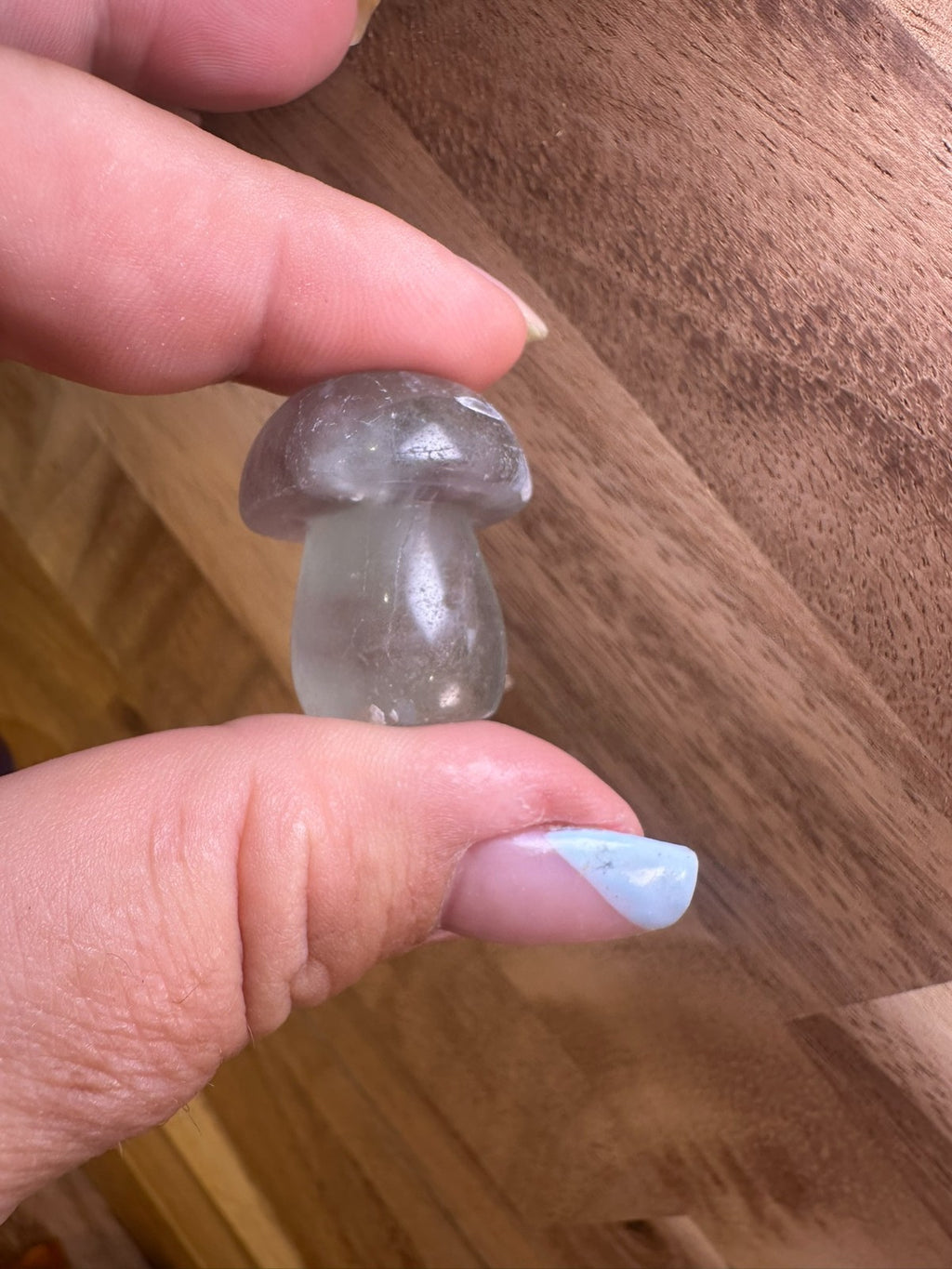 Fluorite Mushroom Carvings – Mini Crystal 25-35 gms Clarity • Focus • Protection
