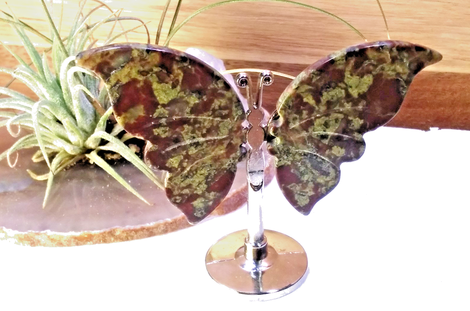 Dragon Blood Jasper Butterfly – Crystal Wing Display on Stand Strength • Courage