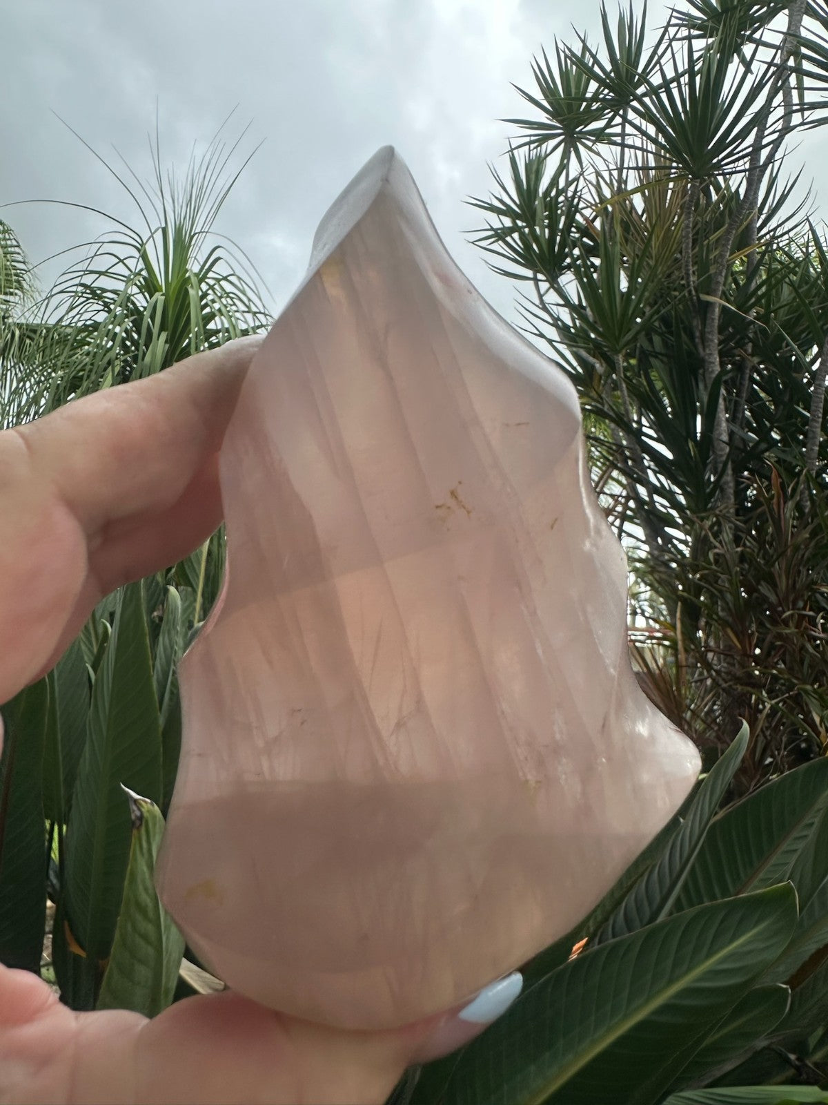 Blue Rose Quartz Flame ~ Crystal Natural Polished Healing Stone Display ~ G