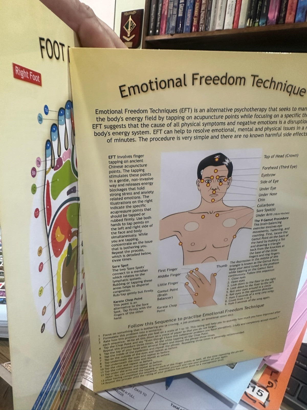 Reflexology Guide Pamphlet – Aracaria Guides Foot Charts • Pressure Points