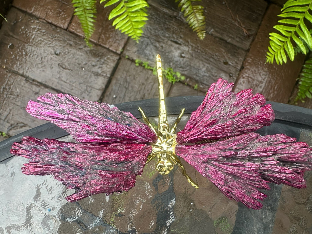 Pink ~Aura Kyanite Dragonfly Healing Crystal Carving Rainbow Tourmaline Ornament