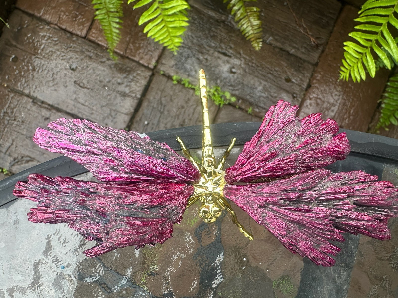 Pink ~Aura Kyanite Dragonfly Healing Crystal Carving Rainbow Tourmaline Ornament
