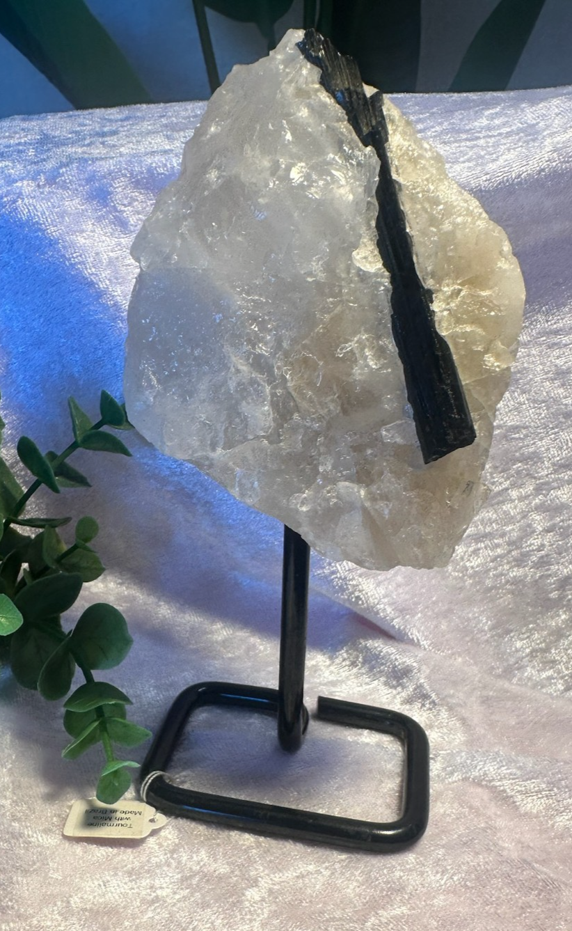 Stunning Black TOURMALINE with Quartz & Mica Matrix ~ on stand ~ From Brazil