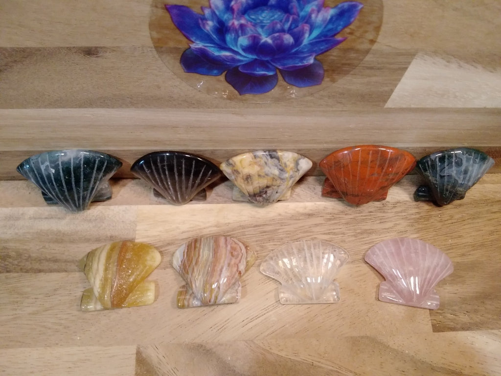 2" Natural Carved Sea Shell ~ Crystal Reiki Healing ~ 1pc ~ Intuitively Chosen