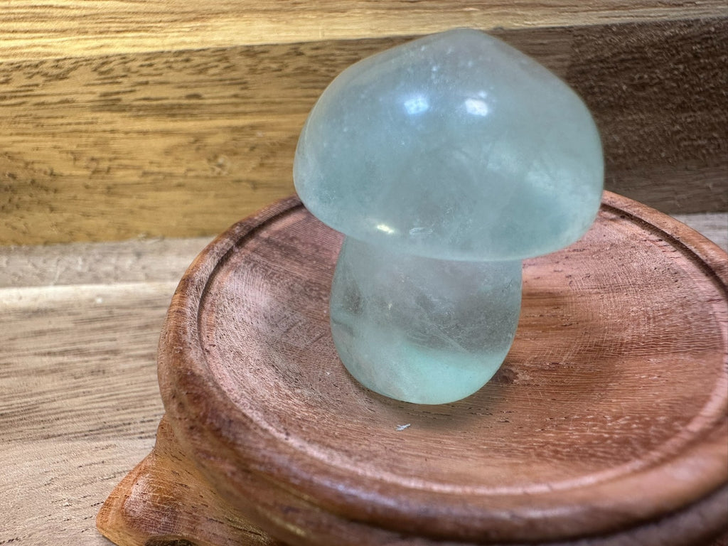 Fluorite Mushroom Carvings – Mini Crystal 25-35 gms Clarity • Focus • Protection