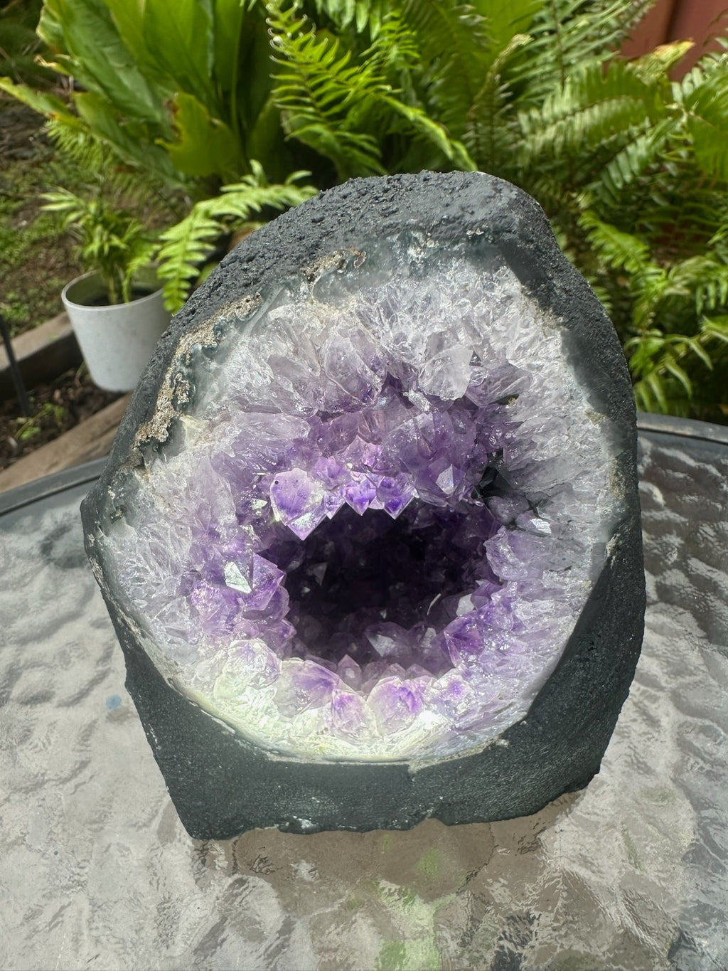 Large Amethyst Geode Crystal Cave ~ Natural Druzy Healing Stone ~ 1.9 kg
