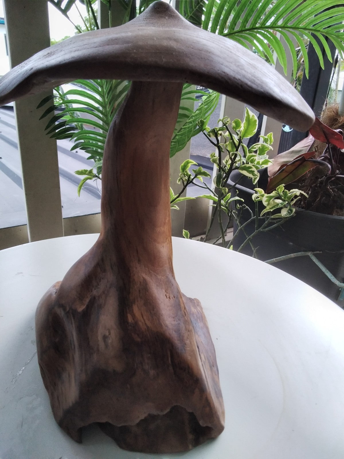 Wood Mushroom Toadstool ~ Garden Sculpture Wooden Hard Carved ~ 20 x 27cm ~ICWS1