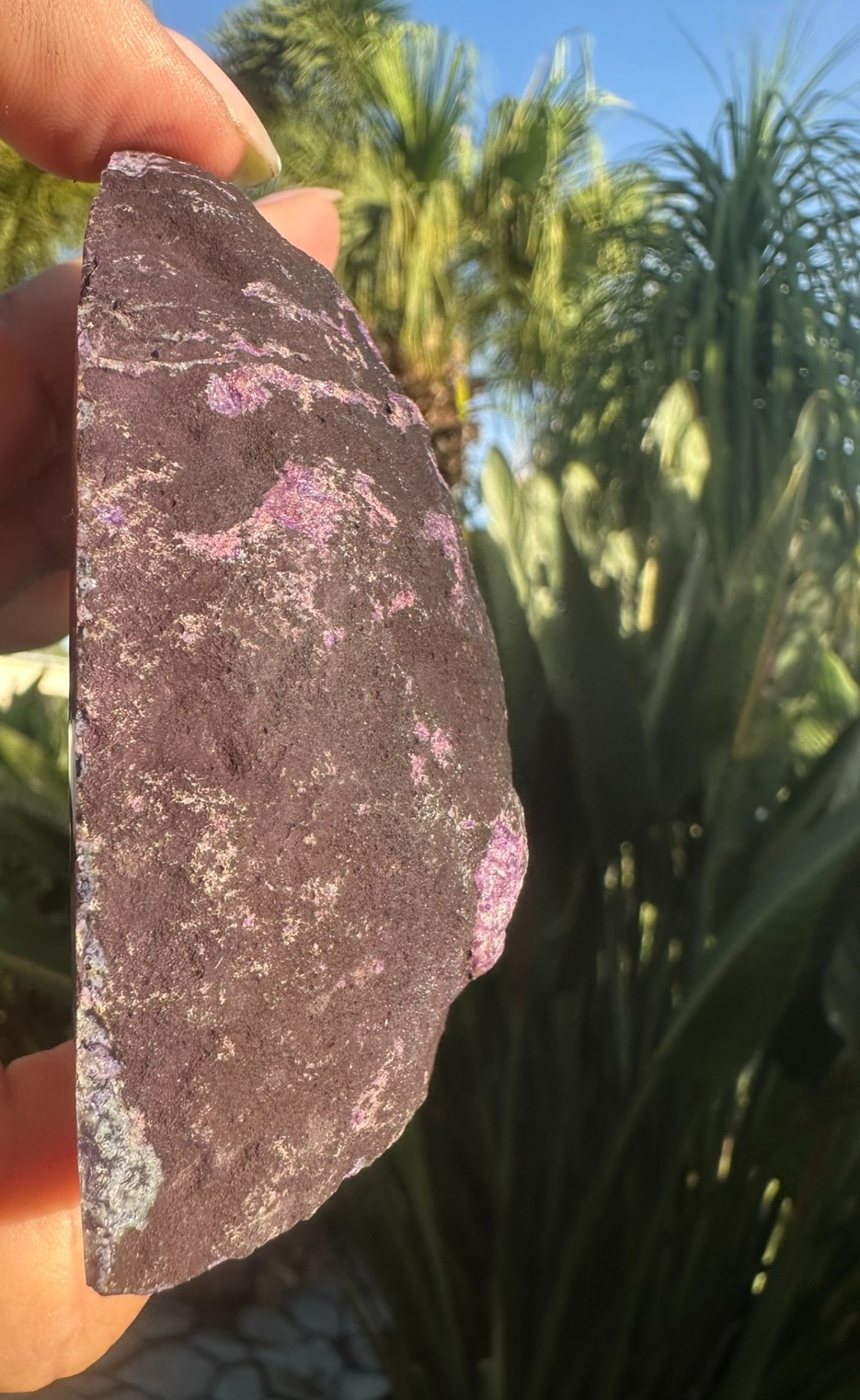 Purple Agate Druzy Slice ~ Crystal Geode Polished Display ~ 80mm 208g