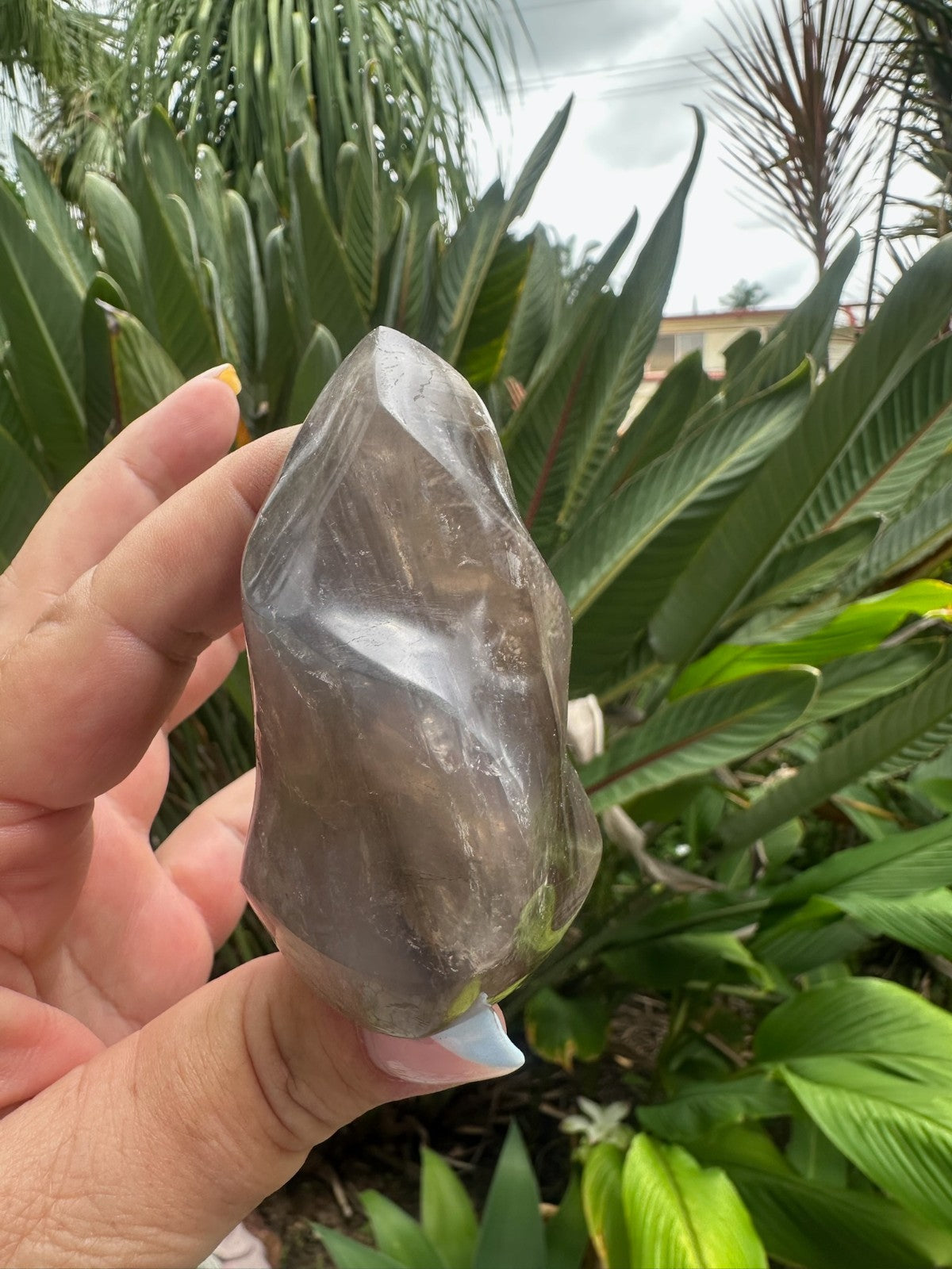 Blue Rose Quartz Flame ~ Crystal Natural Polished Healing Stone Display ~ B