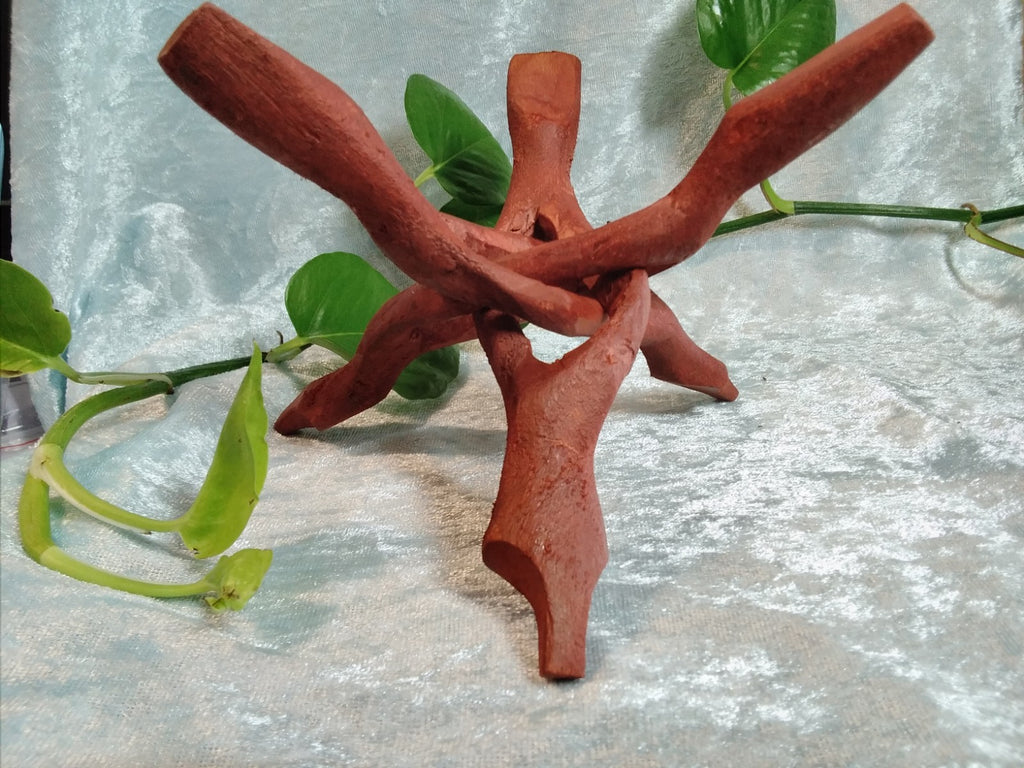 Natural Wood Cobra Folding Tripod Stand ~ Display XL 20cm~ Crystal, Geode, Shell
