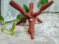 Natural Wood Cobra Folding Tripod Stand ~ Display XL 20cm~ Crystal, Geode, Shell