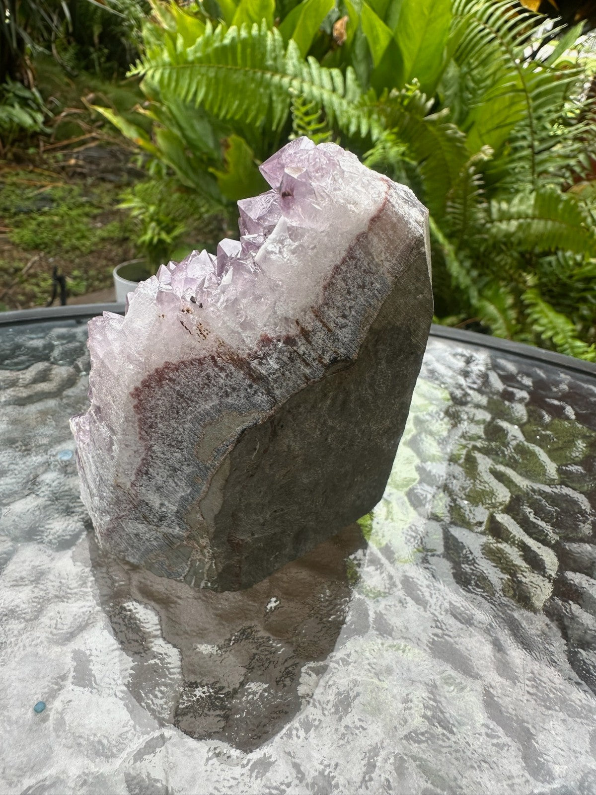 Natural Amethyst Crystal Cluster Druzy Specimen Healing Stone Display