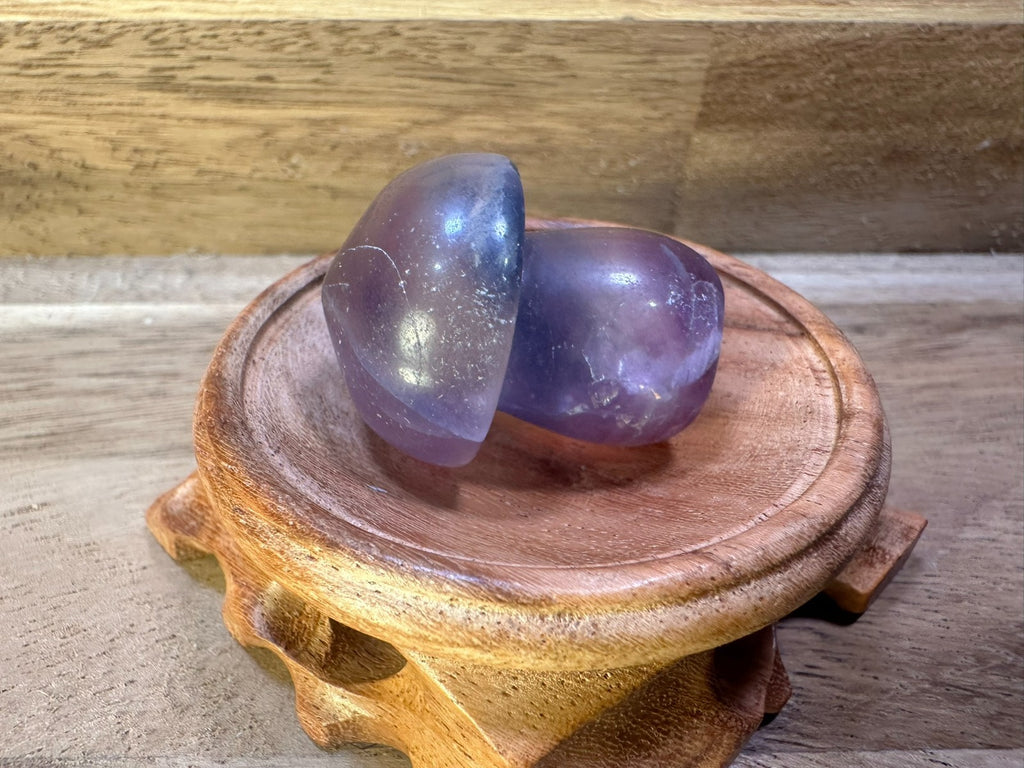 Fluorite Mushroom Carvings – Mini Crystal 25-35 gms Clarity • Focus • Protection