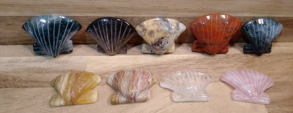 2" Natural Carved Sea Shell ~ Crystal Reiki Healing ~ 1pc ~ Intuitively Chosen