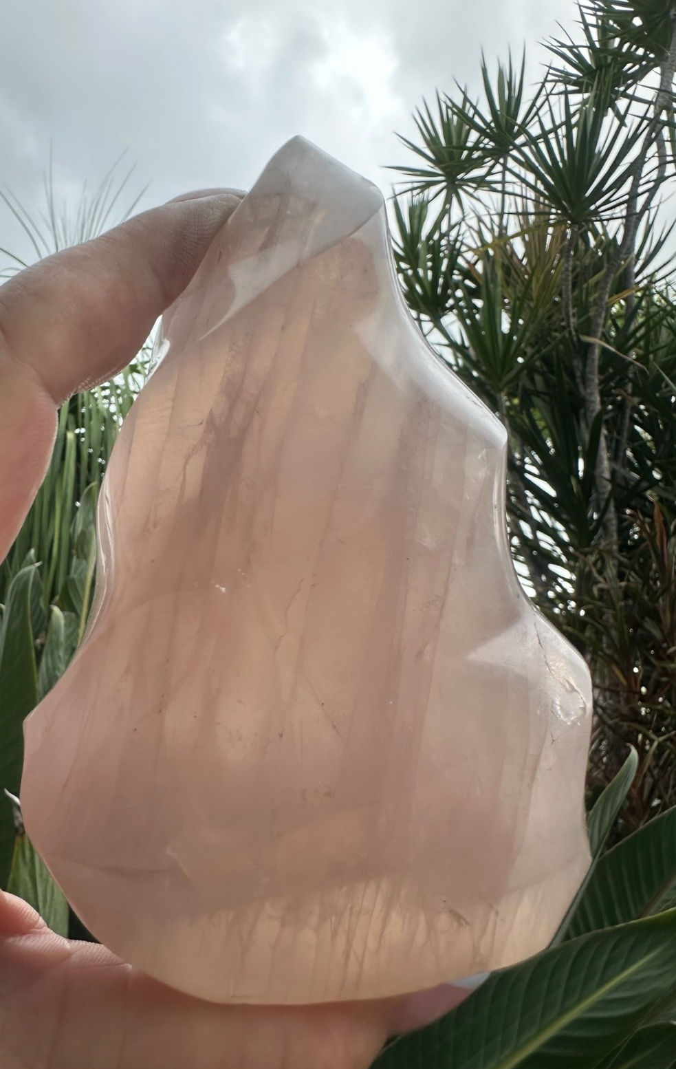 Blue Rose Quartz Flame ~ Crystal Natural Polished Healing Stone Display ~ G
