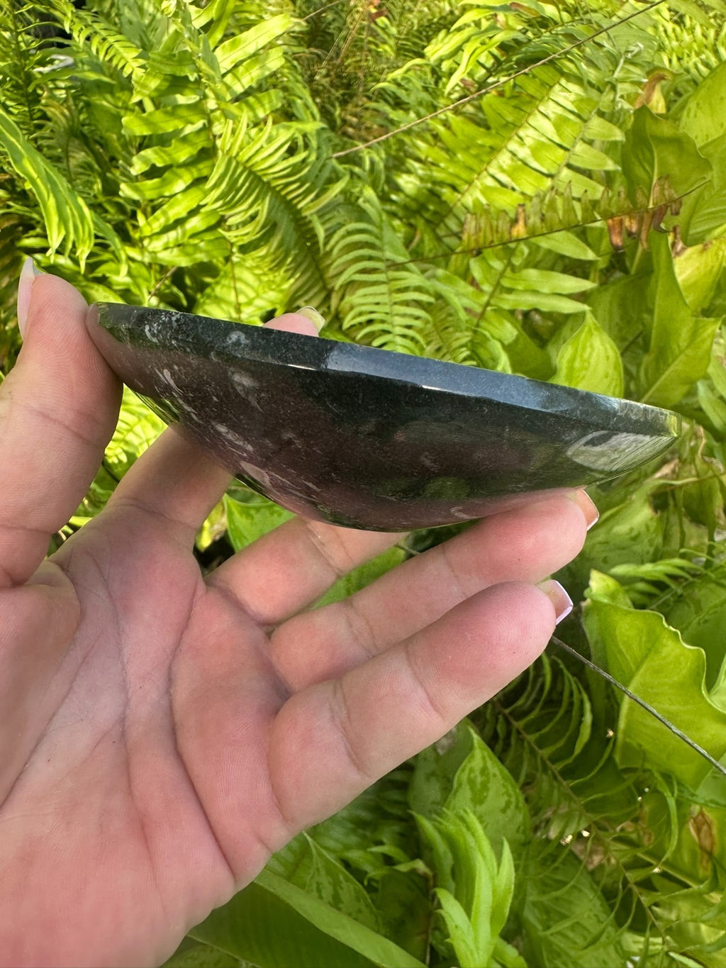 Orthoceras Fossil Stone Bowl ~ Natural Crystal Dish ~ Ancient Fossil Decor (A)