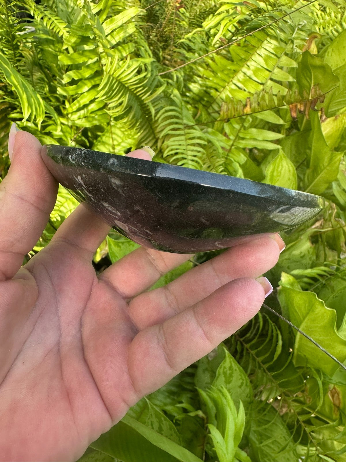 Orthoceras Fossil Stone Bowl ~ Natural Crystal Dish ~ Ancient Fossil Decor (A)