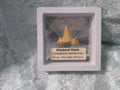 Mackerel Shark Tooth ~ Cretolamna Maroccana,  70 MYO, Morroco ~ Display 7cm (b)