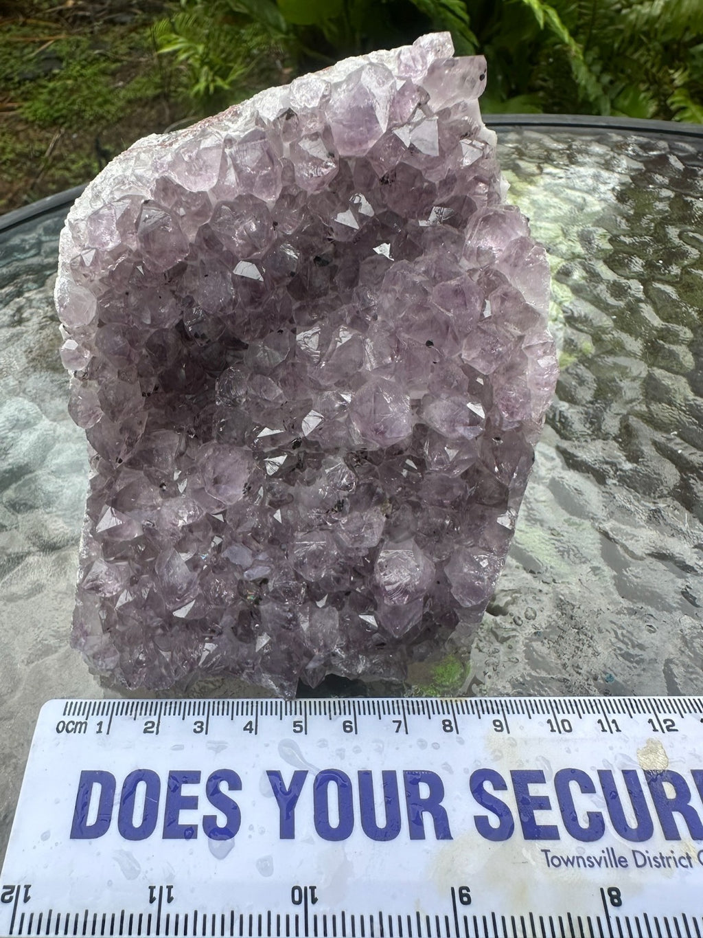 Natural Amethyst Crystal Cluster Druzy Specimen Healing Stone Display