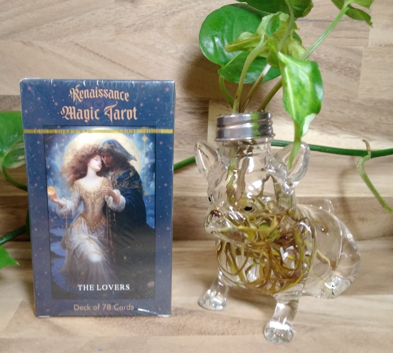 Renaissance Magic Tarot Card Deck – 78 Cards with Artwork by Kaleriia Tverdokhli