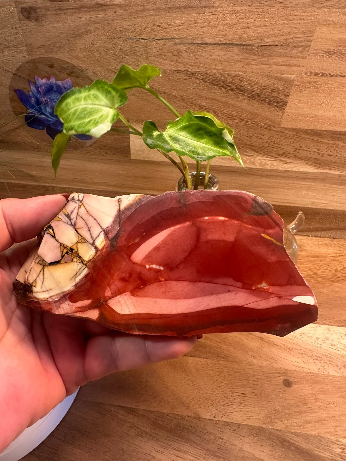 Natural Brecciated Mookaite Jasper Slab ~ Pilbara WA ~ 555 grams ~ 17cm