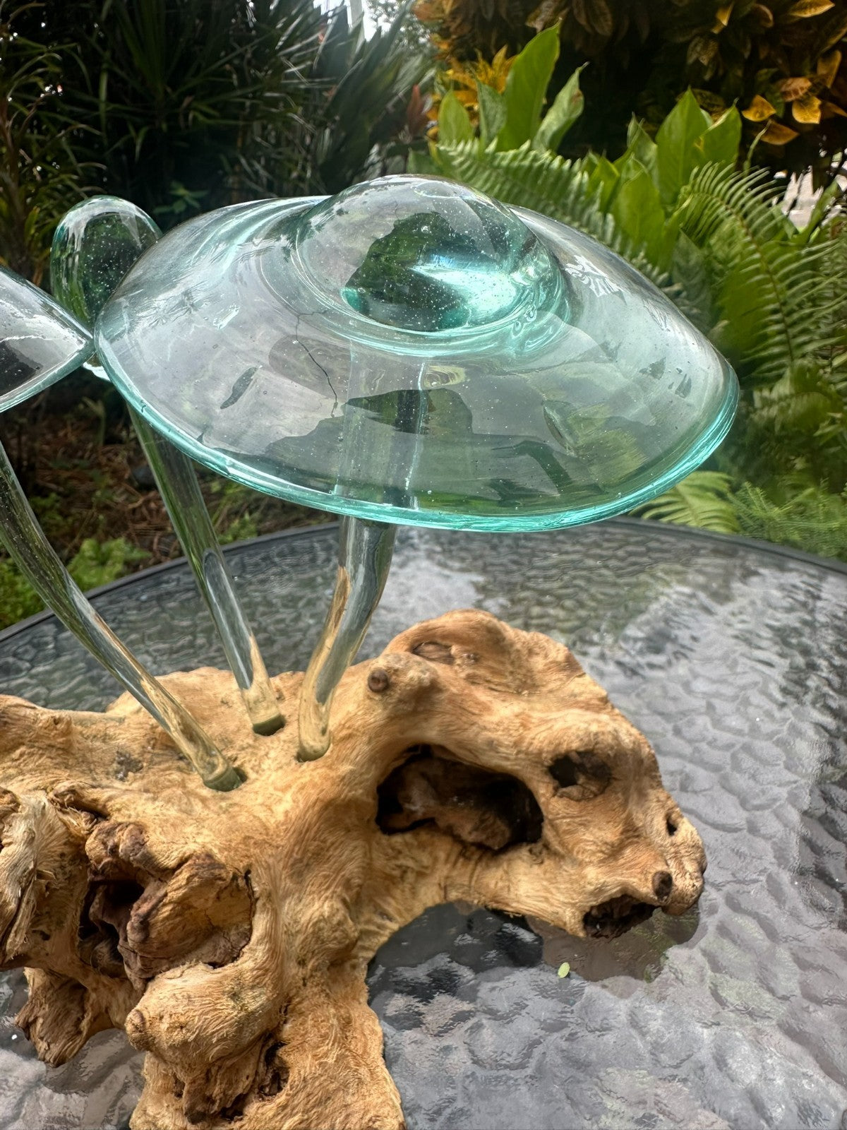 Glass Mushroom Sculpture on Natural Wood – Garden Decor / Rustic Outdoor Art